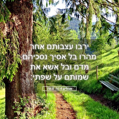 Picture 05 - תהלים 16:4 HEB - ירבו עצבותם אחר מהרו בל - Bible Verse Picture