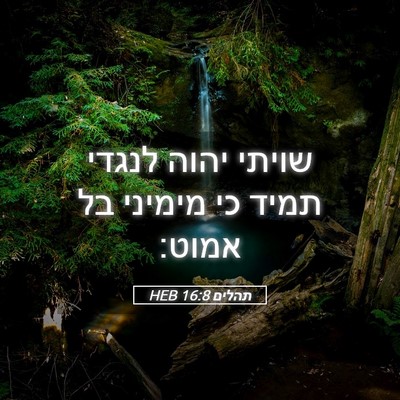 Picture 05 - תהלים 16:8 HEB - שויתי יהוה לנגדי תמיד כי - Bible Verse Picture