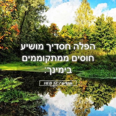 Picture 05 - תהלים 17:7 HEB - הפלה חסדיך מושיע חוסים - Bible Verse Picture