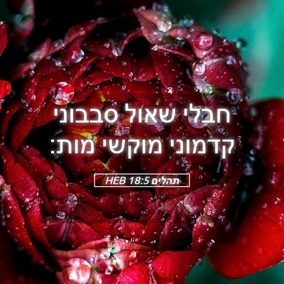 Picture 05 - תהלים 18:5 HEB - חבלי שאול סבבוני קדמוני - Bible Verse Picture
