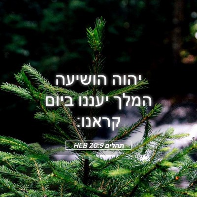 Picture 05 - תהלים 20:9 HEB - יהוה הושיעה המלך יעננו - Bible Verse Picture