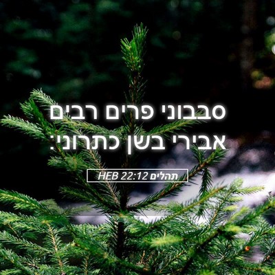 Picture 05 - תהלים 22:12 HEB - סבבוני פרים רבים אבירי בשן - Bible Verse Picture