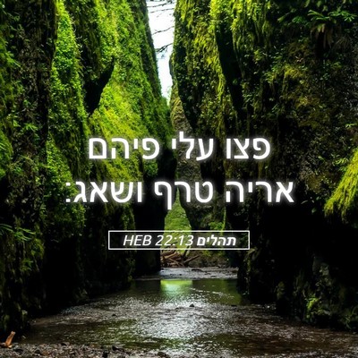 Picture 05 - תהלים 22:13 HEB - פצו עלי פיהם אריה טרף - Bible Verse Picture