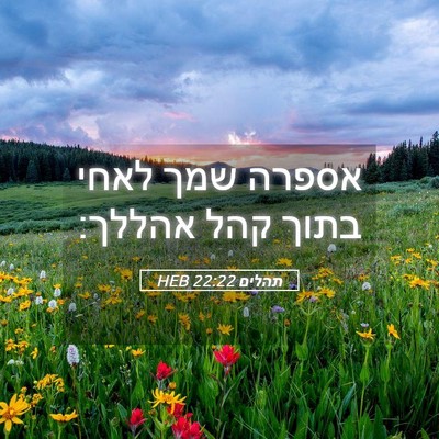 Picture 05 - תהלים 22:22 HEB - אספרה שמך לאחי בתוך קהל - Bible Verse Picture