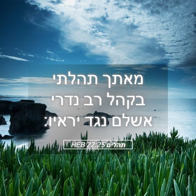 Picture 05 - תהלים 22:25 HEB - מאתך תהלתי בקהל רב נדרי - Bible Verse Picture