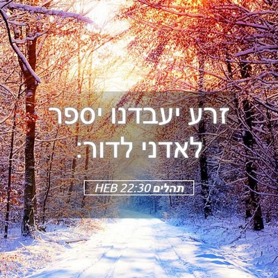 Picture 05 - תהלים 22:30 HEB - זרע יעבדנו יספר לאדני - Bible Verse Picture