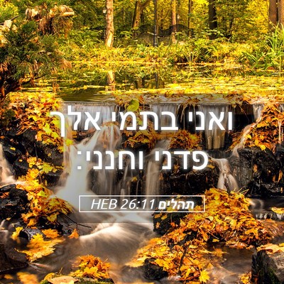 Picture 05 - תהלים 26:11 HEB - ואני בתמי אלך פדני - Bible Verse Picture