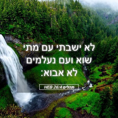 Picture 05 - תהלים 26:4 HEB - לא ישבתי עם מתי שוא ועם - Bible Verse Picture