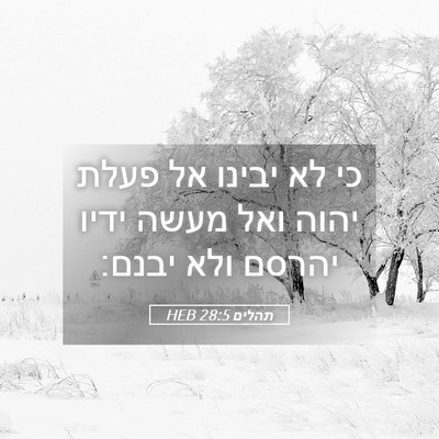 Picture 05 - תהלים 28:5 HEB - כי לא יבינו אל פעלת יהוה - Bible Verse Picture