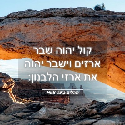 Picture 05 - תהלים 29:5 HEB - קול יהוה שבר ארזים וישבר - Bible Verse Picture