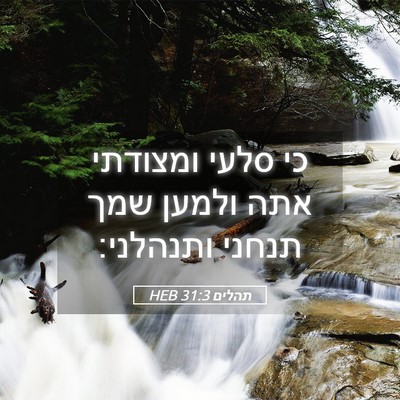 Picture 05 - תהלים 31:3 HEB - כי סלעי ומצודתי אתה ולמען - Bible Verse Picture