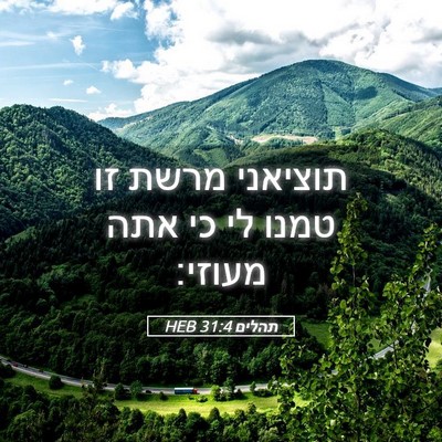 Picture 05 - תהלים 31:4 HEB - תוציאני מרשת זו טמנו לי כי - Bible Verse Picture