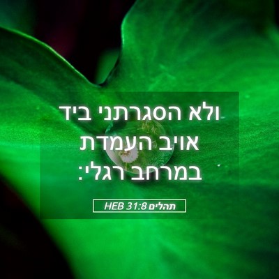 Picture 05 - תהלים 31:8 HEB - ולא הסגרתני ביד אויב העמדת - Bible Verse Picture