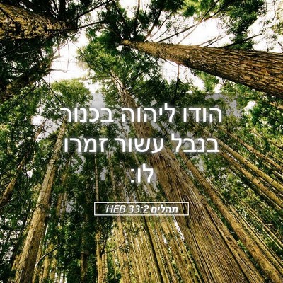 Picture 05 - תהלים 33:2 HEB - הודו ליהוה בכנור בנבל עשור - Bible Verse Picture