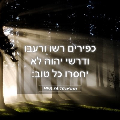 Picture 05 - תהלים 34:10 HEB - כפירים רשו ורעבו ודרשי - Bible Verse Picture