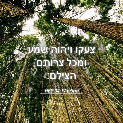 Picture 05 - תהלים 34:17 HEB - צעקו ויהוה שמע ומכל צרותם - Bible Verse Picture
