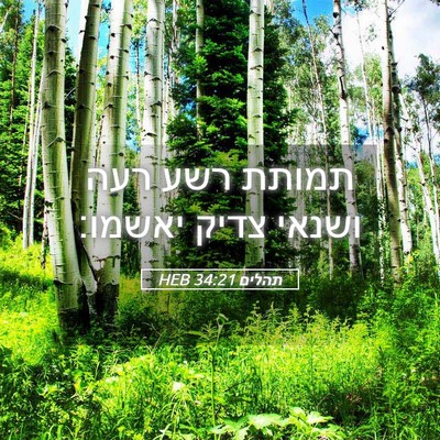 Picture 05 - תהלים 34:21 HEB - תמותת רשע רעה ושנאי צדיק - Bible Verse Picture