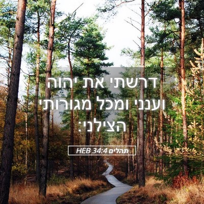 Picture 05 - תהלים 34:4 HEB - דרשתי את יהוה וענני ומכל - Bible Verse Picture