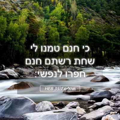 Picture 05 - תהלים 35:7 HEB - כי חנם טמנו לי שחת רשתם חנם - Bible Verse Picture