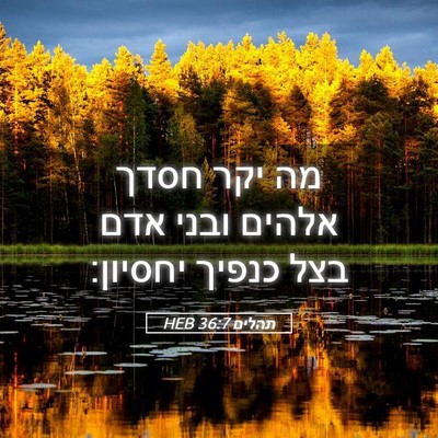 Picture 05 - תהלים 36:7 HEB - מה יקר חסדך אלהים ובני אדם - Bible Verse Picture