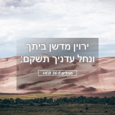 Picture 05 - תהלים 36:8 HEB - ירוין מדשן ביתך ונחל עדניך - Bible Verse Picture