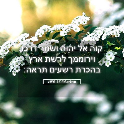 Picture 05 - תהלים 37:34 HEB - קוה אל יהוה ושמר דרכו - Bible Verse Picture