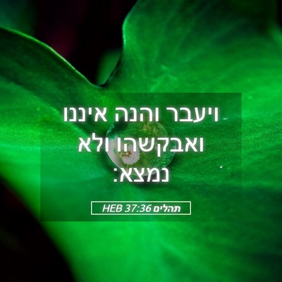 Picture 05 - תהלים 37:36 HEB - ויעבר והנה איננו ואבקשהו - Bible Verse Picture