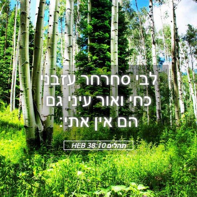 Picture 05 - תהלים 38:10 HEB - לבי סחרחר עזבני כחי ואור - Bible Verse Picture
