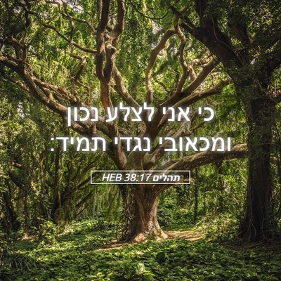 Picture 05 - תהלים 38:17 HEB - כי אני לצלע נכון ומכאובי - Bible Verse Picture