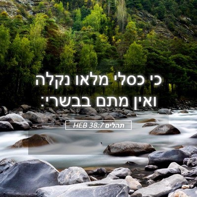 Picture 05 - תהלים 38:7 HEB - כי כסלי מלאו נקלה ואין מתם - Bible Verse Picture