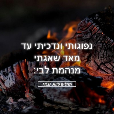 Picture 05 - תהלים 38:8 HEB - נפוגותי ונדכיתי עד מאד - Bible Verse Picture