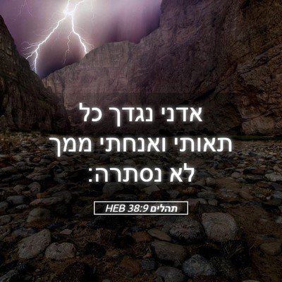 Picture 05 - תהלים 38:9 HEB - אדני נגדך כל תאותי ואנחתי - Bible Verse Picture
