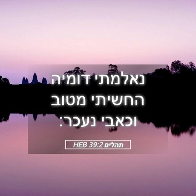 Picture 05 - תהלים 39:2 HEB - נאלמתי דומיה החשיתי מטוב - Bible Verse Picture