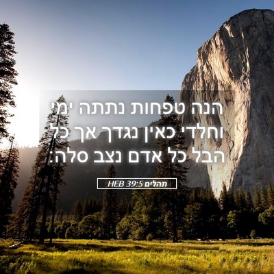 Picture 05 - תהלים 39:5 HEB - הנה טפחות נתתה ימי וחלדי - Bible Verse Picture