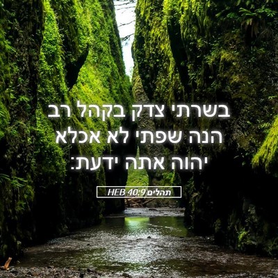Picture 05 - תהלים 40:9 HEB - בשרתי צדק בקהל רב הנה שפתי - Bible Verse Picture