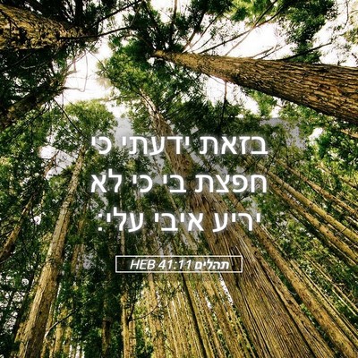 Picture 05 - תהלים 41:11 HEB - בזאת ידעתי כי חפצת בי כי לא - Bible Verse Picture