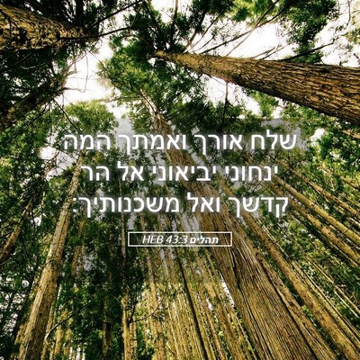 Picture 05 - תהלים 43:3 HEB - שלח אורך ואמתך המה ינחוני - Bible Verse Picture