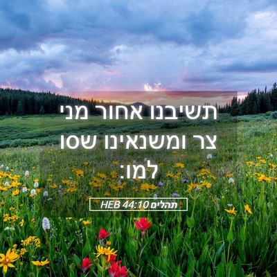 Picture 05 - תהלים 44:10 HEB - תשיבנו אחור מני צר - Bible Verse Picture