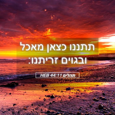 Picture 05 - תהלים 44:11 HEB - תתננו כצאן מאכל ובגוים - Bible Verse Picture