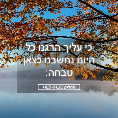 Picture 05 - תהלים 44:22 HEB - כי עליך הרגנו כל היום - Bible Verse Picture