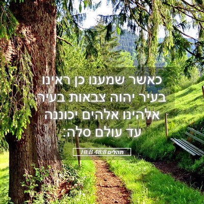 Picture 05 - תהלים 48:8 HEB - כאשר שמענו כן ראינו בעיר - Bible Verse Picture