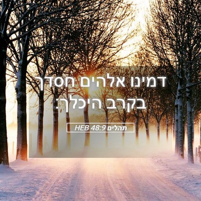 Picture 05 - תהלים 48:9 HEB - דמינו אלהים חסדך בקרב - Bible Verse Picture