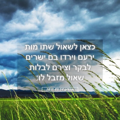 Picture 05 - תהלים 49:14 HEB - כצאן לשאול שתו מות ירעם - Bible Verse Picture
