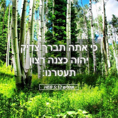 Picture 05 - תהלים 5:12 HEB - כי אתה תברך צדיק יהוה כצנה - Bible Verse Picture