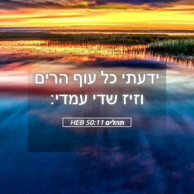 Picture 05 - תהלים 50:11 HEB - ידעתי כל עוף הרים וזיז שדי - Bible Verse Picture