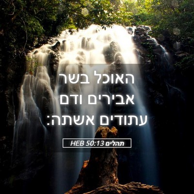 Picture 05 - תהלים 50:13 HEB - האוכל בשר אבירים ודם - Bible Verse Picture