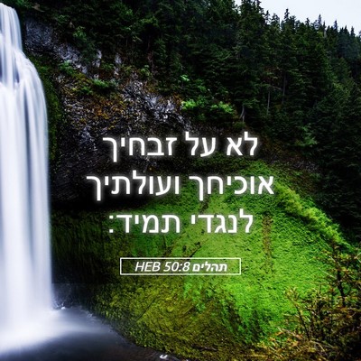 Picture 05 - תהלים 50:8 HEB - לא על זבחיך אוכיחך ועולתיך - Bible Verse Picture