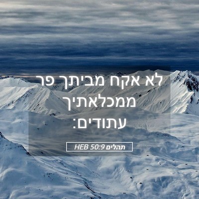 Picture 05 - תהלים 50:9 HEB - לא אקח מביתך פר ממכלאתיך - Bible Verse Picture