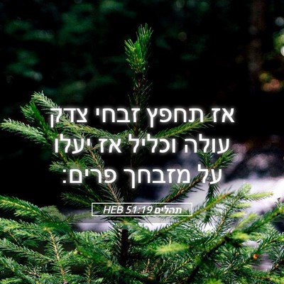 Picture 05 - תהלים 51:19 HEB - אז תחפץ זבחי צדק עולה וכליל - Bible Verse Picture