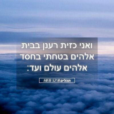 Picture 05 - תהלים 52:8 HEB - ואני כזית רענן בבית אלהים - Bible Verse Picture